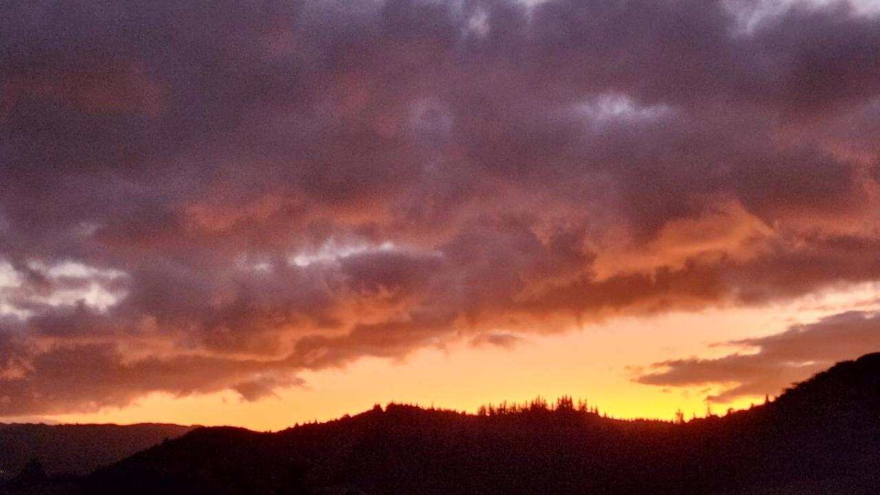 Boutique Art Retreat Ξενοδοχείο Upper Hutt Εξωτερικό φωτογραφία