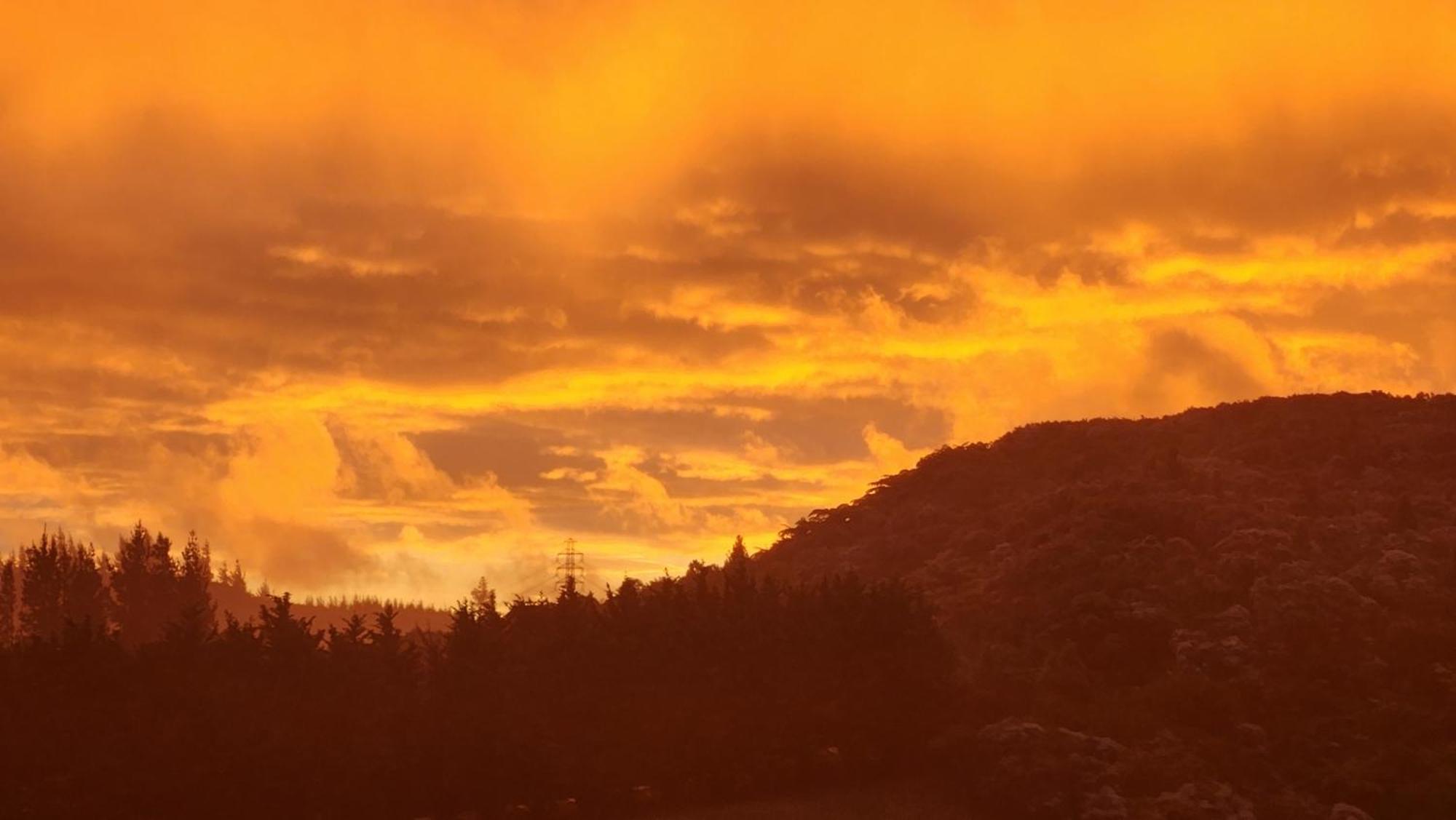 Boutique Art Retreat Ξενοδοχείο Upper Hutt Εξωτερικό φωτογραφία