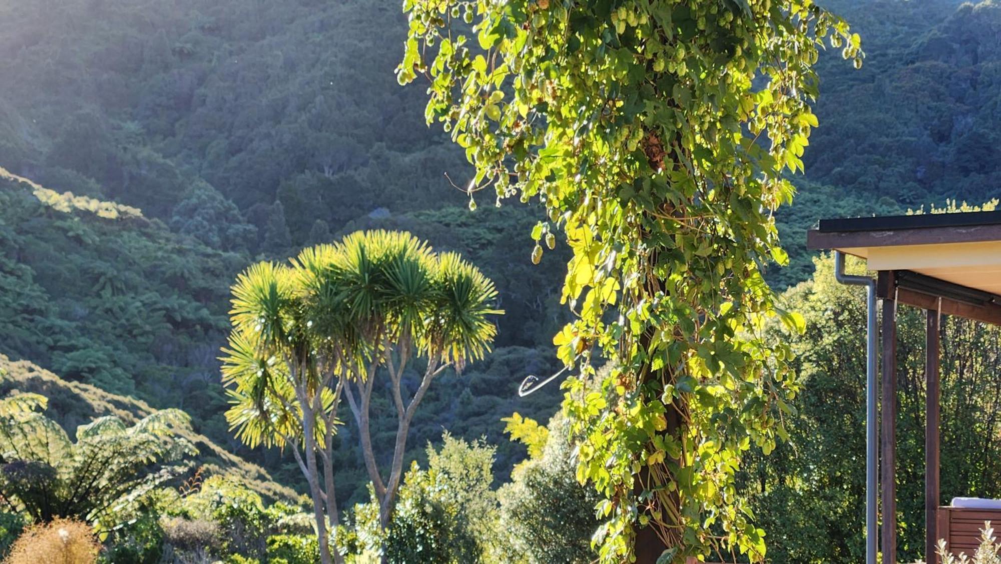 Boutique Art Retreat Ξενοδοχείο Upper Hutt Εξωτερικό φωτογραφία